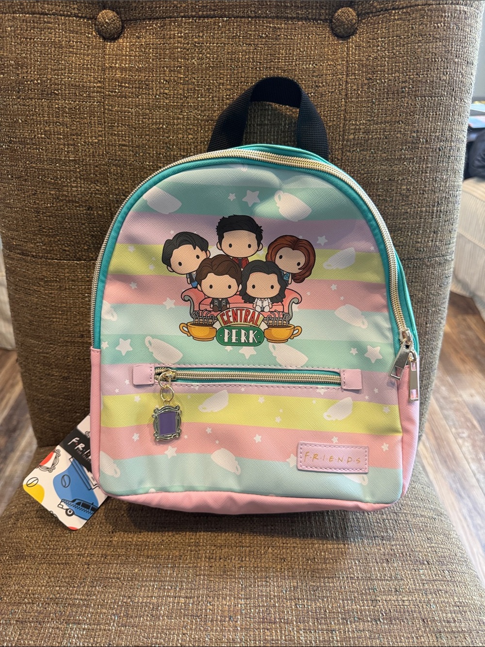 Friends Central Park mini backpack NWT